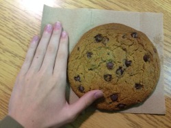 smallnico:  look at this fucking cookie. look at it. i bought this fucking cookie at my school’s cafeteria. it is the size of my face. i bought it for 2 dollars. this cookie is supposed to inspire sharing among the students because its so fucking huge