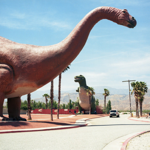 williammarksommer:  Cabazon Dinosaurs California All The Time In The WorldHasselblad 500c/mKodak Ektar 100iso