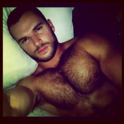 hot4hairy:  Almog Gabay  H O T 4 H A I R Y  Tumblr |  Tumblr Ask |  Twitter Email | Archive | Follow HAIR HAIR EVERYWHERE! 