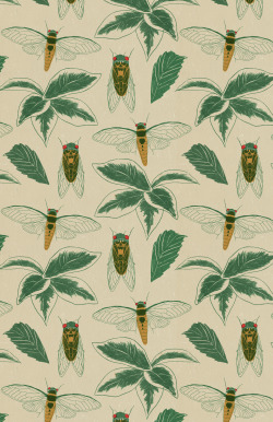 derekq-art:  Cicada pattern  My eyes can hardly believe my eyes