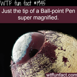 wtf-fun-factss:  the tip of the pen magnified - WTF fun facts