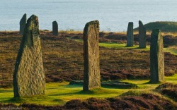 theoldstone:  The Ring of Brogdar is Neolithic henge and stone circle located in Orkney, Scotland. While the site has not yet been reliably dated, it’s commonly believed to have been erected sometime between 2500 BC and 2000 BC. In 2008 an excavation