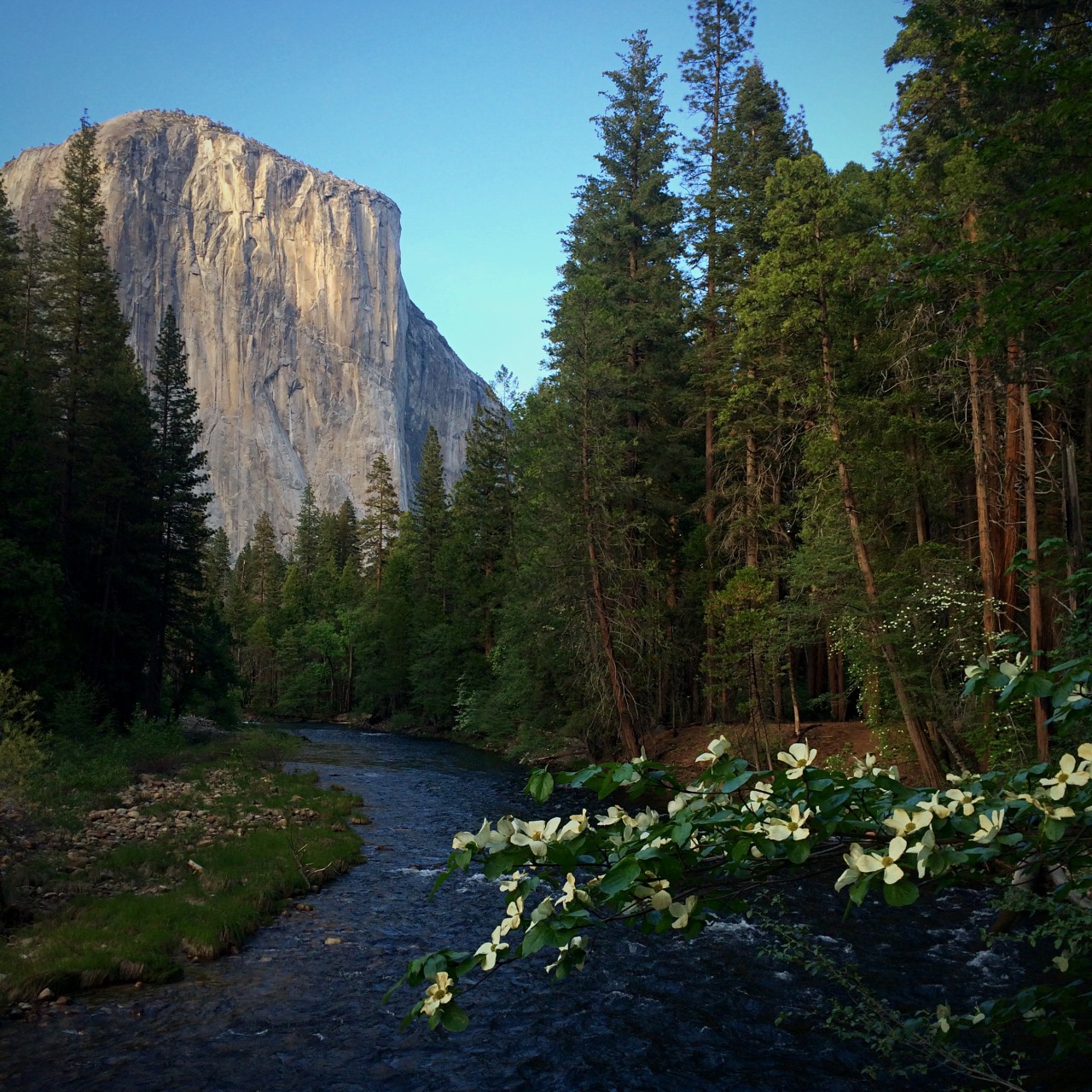 Americas Great Outdoors Spring At Yosemite National Park In