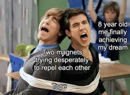 slothful-rabbit:  rubykgrant: squided:  newtonpermetersquare:  Magnets: I want to commit diamagnetic   how did I never once think to use tape fuck  one time as a kid I forcefully shoved two magnets together, and these were the strong magnets my dad used