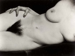desirderius:  airotique:  cartopus:  Edward Weston ph.  Bush is beautiful :)  Edward Weston 
