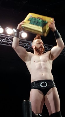 thenighttimemusings:Sheamus got super up close at the Worcester show