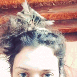 maryjean20:  Kat Dennings Instagram: &ldquo;The hottest hair accessory for 2014&rdquo; kat and her cat, they are so lovely! 