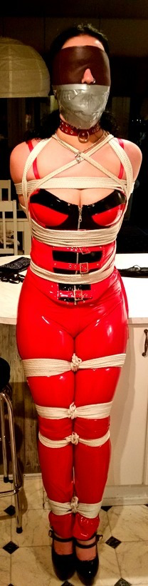 :Nice latex catsuit, tight ropes, studded collar, cute nose piercing and big tape and blindfold. It’s a yes from me. 