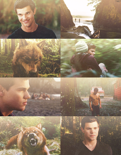 taysten4sure:   Jacob Black: A few lucky members of the tribe have the gene. If a bloodsucker moves into town, then the fever sets in. Bella Swan: Mono? Jacob Black: Yeah, I wish.   Jacob Ephraim Black, Shape-shifter | Gift or Curse?    