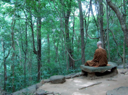 themiracleforest:    Buddhism Summed Up: How to Be at Peace, Always Buddhism has many teachings and “rules,” like the Four Noble Truths or the Noble Eightfold Path, but its primary message is actually quite simple: we can’t avoid the hardships of