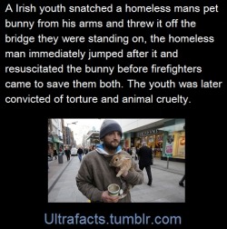 ultrafacts:  His name: John Byrne (bunny owner)  SourceFollow Ultrafacts for more facts  This makes me want to throw up, and cry.
