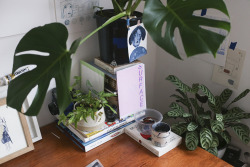 tattyj:  juliatrybala:  Some shots of my little studio by On Jackson Street  This home studio was one of my favorites to shoot! Inside jungles are so nice :–) Everyone follow Julia, her work is beautiful! 