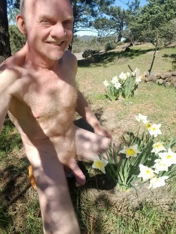 rodbatman: jaybee1959:  Last chance for the Daffodils this year #jaybee1959 #mature #nature #male  Mmmmm 
