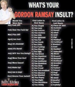 rosedragon11:  littledorkysmile:  quinnypaanda:  theredlightsaber:  Gordon Ramsay  “It’s burnt you bloody asshole!” seem legit i cant food for shit XD  Gimme your jacket, you pathetic bitch.  WHAT THE FUCK ARE YOU DOING YOU WASTED FUCKER?!  Piss