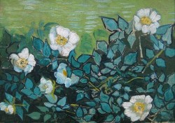 axvlm:   Wild Roses (1890) Vincent van Gogh