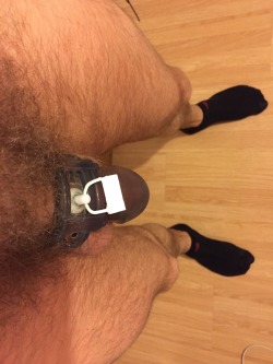 ownedhypnoslv:  Day #139 - socks (and chastity) fetish