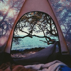 That&rsquo;s my kind of camping.
