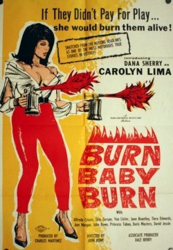 capripantslover: Pulp art with capri pants Burn, Baby, Burn a.k.a. The Carolyn Lima Story (1966)