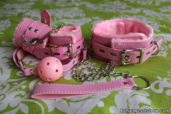 bdsmgeekshop:  Beginners bondage set now back in stock in both pink and black!!! We’ve upgraded to a higher quality version, now with sturdy lockable latches and nice quality leather and a chain leash!