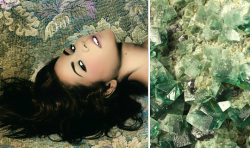 willowrosinberg-deactivated2016:  Marina albums x crystals (insp.) 