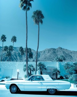szanella:  La vie qu’on rêve.  #palmsprings earlier this year.  (à Palm Springs, California) 