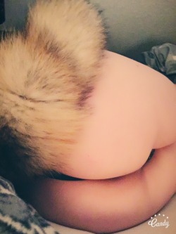 good-dog-girls:  pupmishka:  sagepuppy: What what puppy butt I wish I could use my silicone tail T.T  Also guys I dont know how to be cute or sexy xD someone teach me You look pretty cute to me :3  Supercute. Like if you agree.