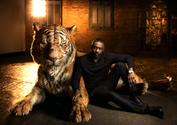 mancandykings:  Idris Elba photographed by Sarah Dunn for the Jungle Book movie promotional photos 