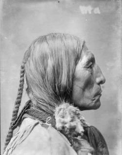 rhubarbes:  Crazy Horse alias Cavallo Pazzo / Lost source.