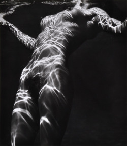 hotparade:  Brett Weston - Nude Under Water 