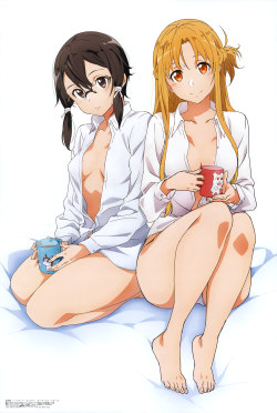 animeslovenija:  drop finally posted the oversized SAO pinup from the latest issue of Megami, illustrated by Takehiro Miura who did the bikini pinup last month.