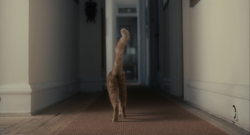 cinemawithoutpeople: Cinema without people: Inside Llewyn Davis (first pass, with cat) (2013, Joel and Ethan Coen, dir.)