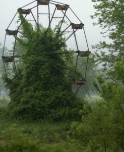cybuggin:  niightwing:  motionburnsthemood:  Abandoned Amusement Park in New Orleans   This is our old Six Flags I think? It was ruined after hurricane Katrina and they never bothered to restore it so they’re either gonna sell it for scrap metal or