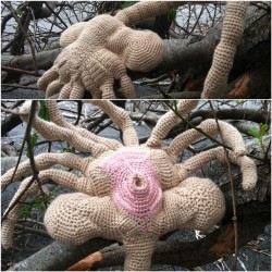 assistedreadymade:  So… I made a thing. #alien #facehugger 