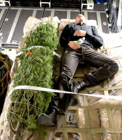 rwfan11:  hot4men:  Randy Orton laying next to a Christmas tree.   …..My grown up Christmas list! :-)***Please, Santa, Please!***