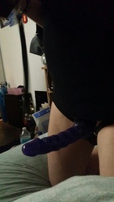 the-wolf-and-the-fox:  Little fox grew a purple penis! O~:  (Terrible photo and lighting. Better to come soon. -Fox)