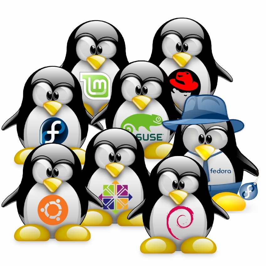 List all users on linux system