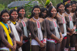 pachatata:  Kayapo women. Brazil by Alice Kohle 