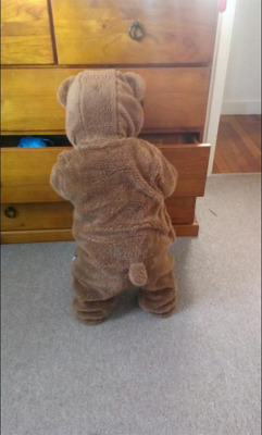worldofthecutestcuties:  Put my son to sleep in his new onesie, woke up to a bear raiding my drawers. 