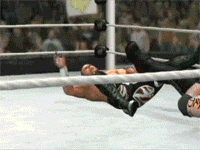 dorkly:  20 Insane Glitchy Wrestling Game GIFs Things get real weird when you try to simulate something that was already a simulation of actual wrestling.    [see them all here]