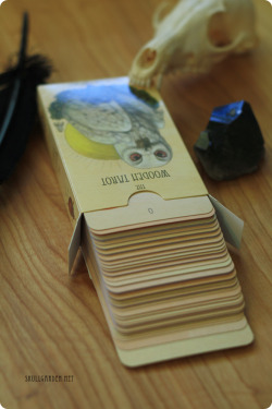skullgarden:  ☽ THE WOODEN TAROT ☾  it&rsquo;s about that time for a self reading.