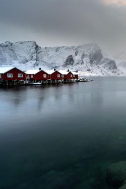 visualechoess:  Hamnoy Lofoten Islands | By APeter Spencer|