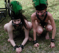 caucasianplantation:  Two young Caucs, brought up all their lives as obedient ponygirls, look at their owner with love and happiness. They do not think it undignified to be naked and dressed up as horses, as this is all they have ever known. 