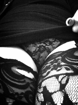 synklar:  Sir loves my lace. 🌹