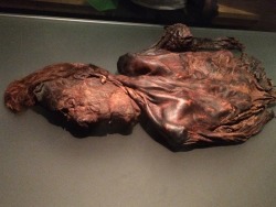 sarahthewonderfilled:  For sixpenceee! The bog bodies of Ireland! Reeaallly old mummified bods, the oldest being about 4000 years old. They’re so well preserved “…due to the cold, acidic, oxygen-free conditions that persist beneath peat bogs and
