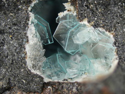 underthescopeminerals:      Unnamed (Gordaite-related Ca-Zn Sulphate Chloride Hydrate)     Locality:Herzog Julius smelter slag locality, Astfeld, Goslar, Harz, Lower Saxony, Germany    Table crystals of Unnamed( Gordaite related CA-Zn Sulphate Chloride