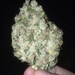 thesecheesesjesus:  Super Sour with flash on and off. 