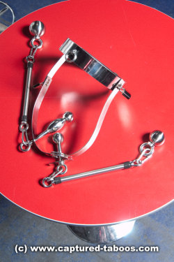 oa-ar15:  fuckiamsexedout:  Kinky Sextoys - Steel Belt with moveable double dildos and weights  ok…..