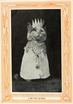 yesterdaysprint:    Kittens and Cats; A Book of Tales,  Eulalie Osgood Grover (and photos probably by  Harry Whittier Frees), 1911