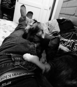 Listo pa&rsquo; dormir 😳 #cat #cats #littlecat #gatitas