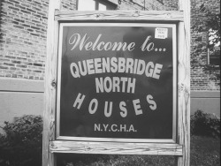 urbanubiquity:  Queensbridge Houses The housing projects that raised many of the greats, incl. Nas, Prodigy/Havoc of Mobb Deep and Marley Marl.